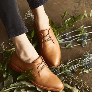 Nisolo James Oxfords